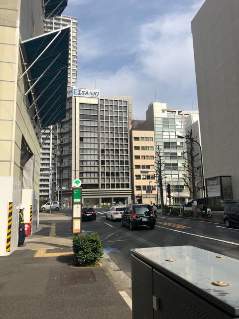 一星芝2.jpg