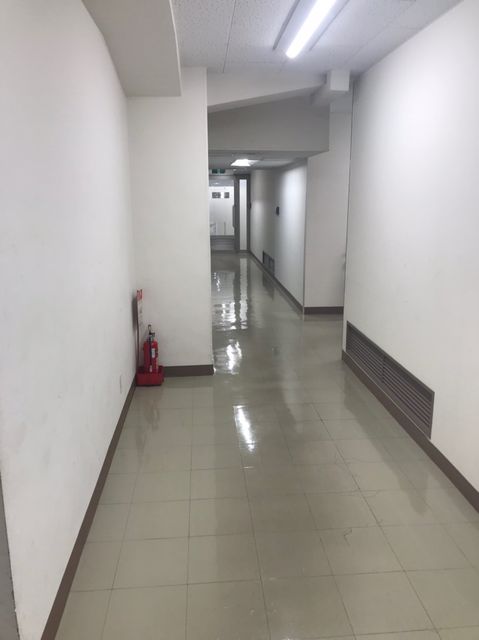 大阪山甚_190131_0012.jpg