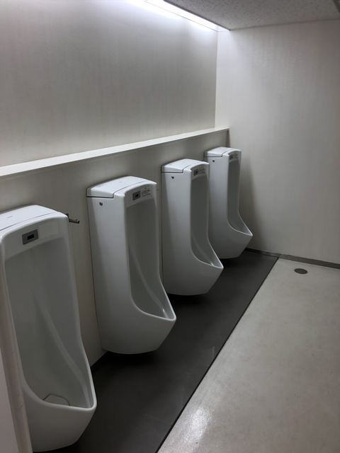パピヨン24 (6).JPG