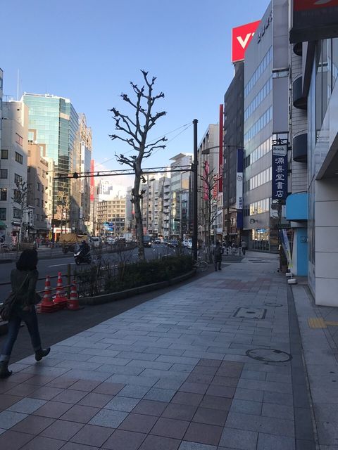 オプティクス7.jpg