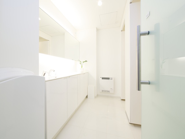 Wallビル_共用部１階WC.jpg