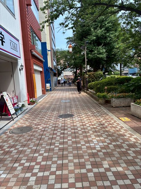 くにたちさくら4.jpg