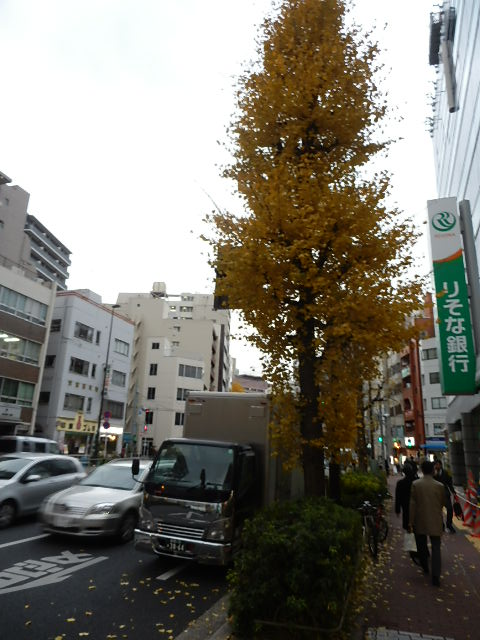 本郷BN2.JPG