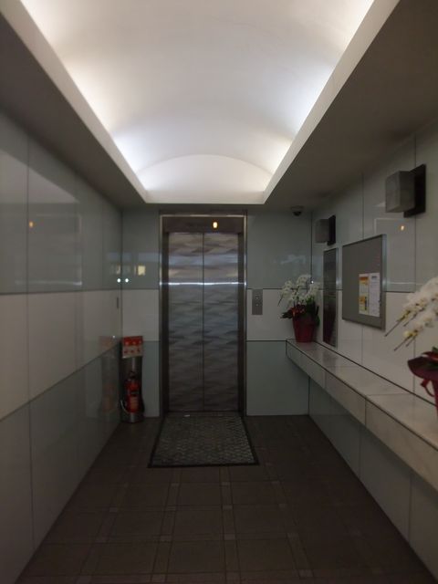 築地小川5.JPG