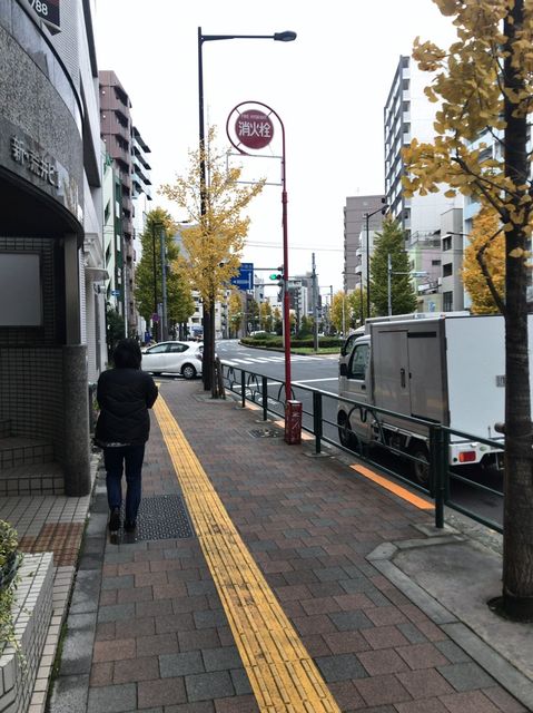 新荒井（関口）12.jpg