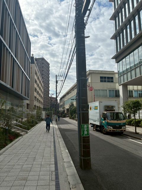 d_ll MUSASHIKOSUGI3.jpg