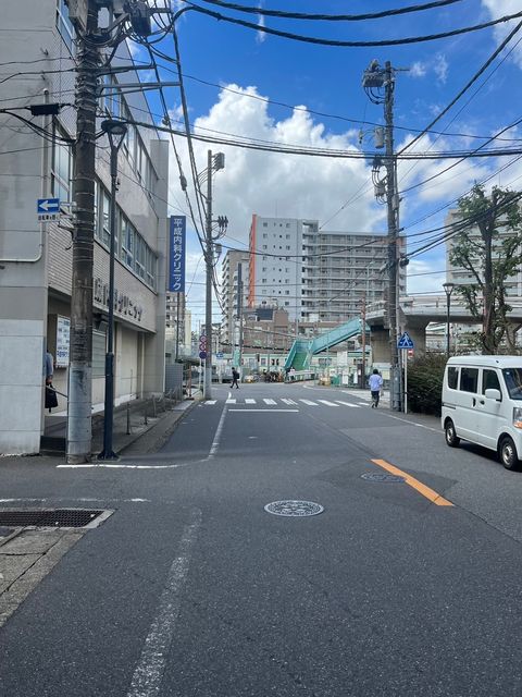 Crobis柏1.jpg