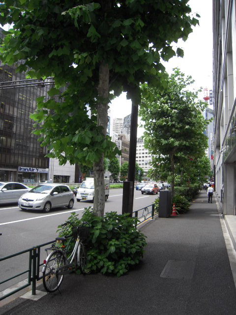 明産溜池3.JPG