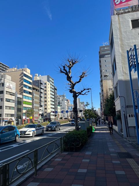 プライマルフロント錦糸町5.jpg