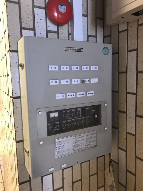 ミヤコ5.JPG
