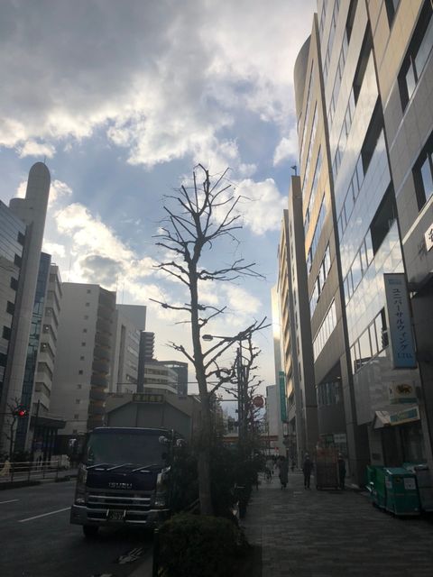 井門岩本町第2 8.jpg