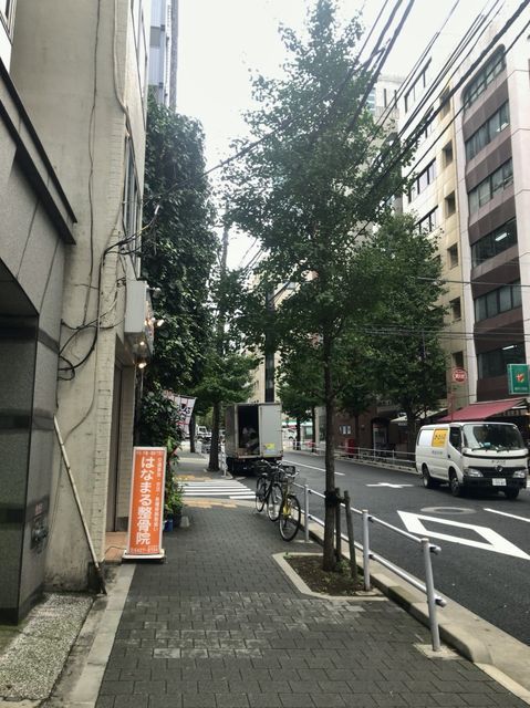 新橋河野11.jpg