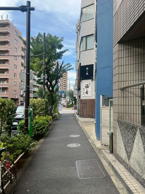 セロン2.jpg