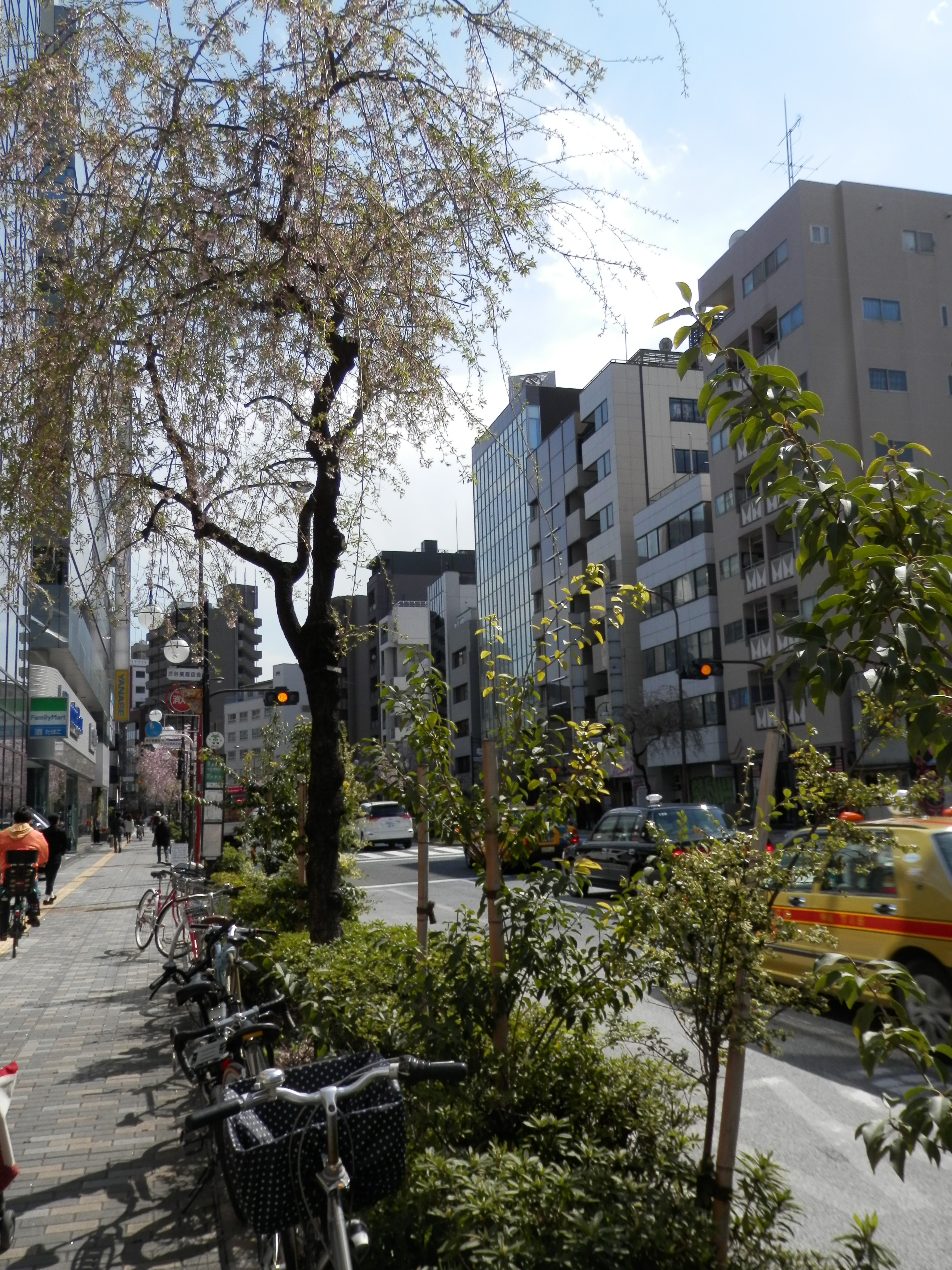 岡本LK5.JPG