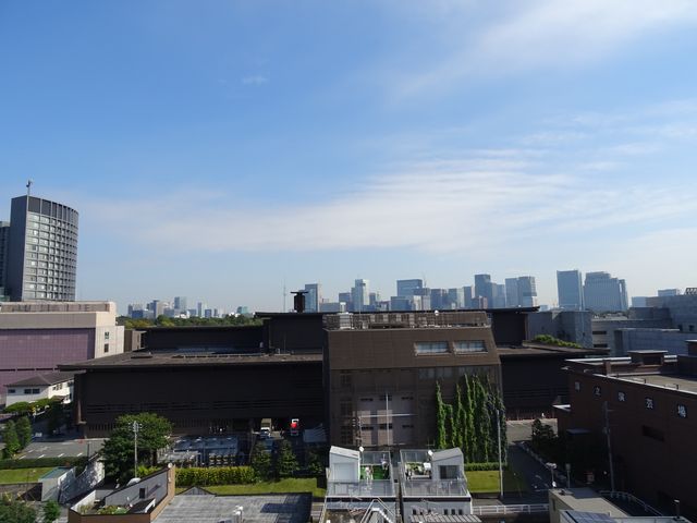 平河町渡辺24.JPG