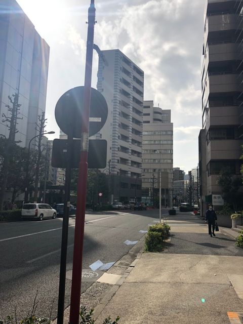 一星芝7.jpg