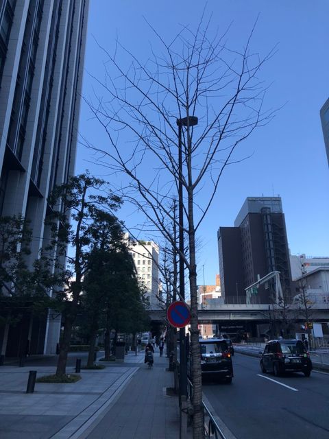 大手町フィナンシャルシティノースタワー 東京都 千代田区 の21階364 72坪の空室情報 Quickconsulting 大手町フィナンシャルシティノースタワー 東京都 千代田区 の21階364 72坪の空室情報 Quickconsulting