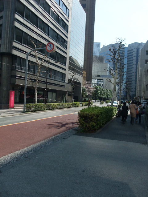 第1秋山（虎ノ門）3.JPG
