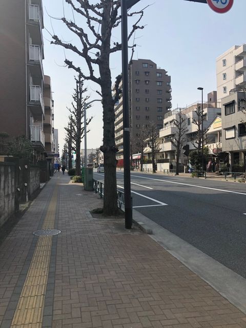 ハネサム八王子6.jpg