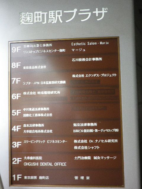 麹町駅プラザ4.JPG