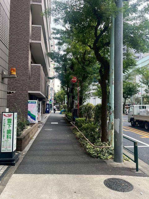 セロン1.jpg