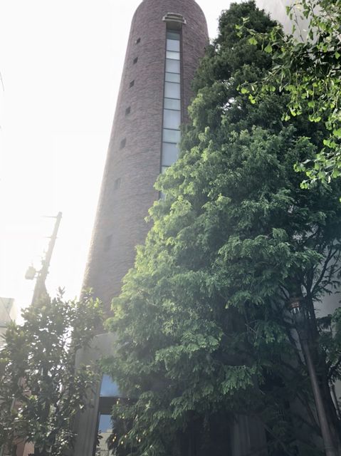 第8菊星タワー2.jpg