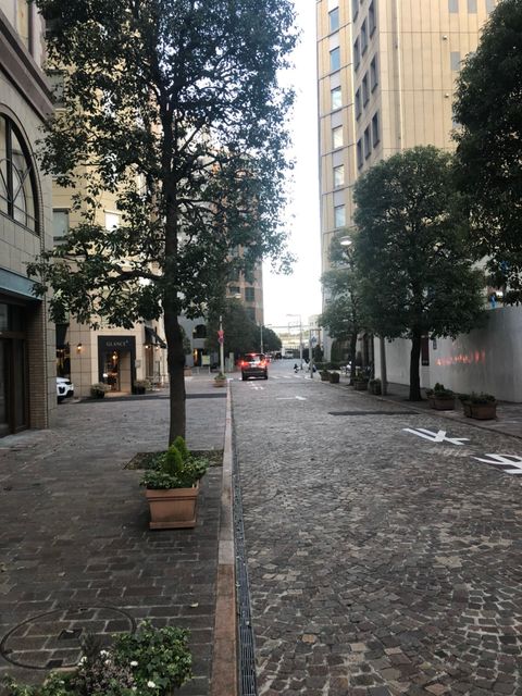 東京茶業会館6.jpg
