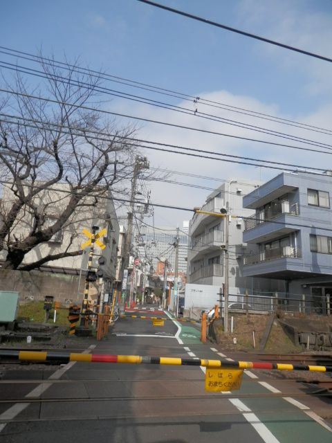 フラット熊沢6.JPG