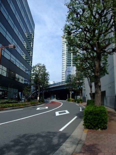 トキワ（大崎）3.JPG