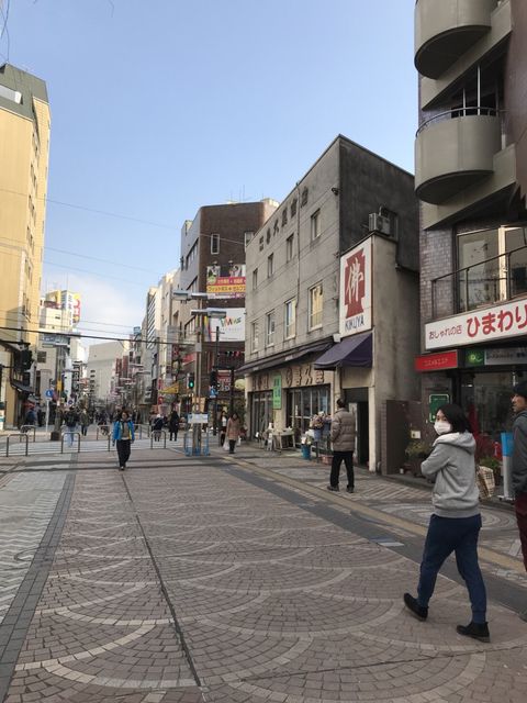 ひまわり（八王子）3.JPG