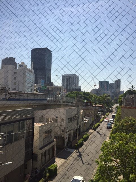 芝公園下山12.JPG
