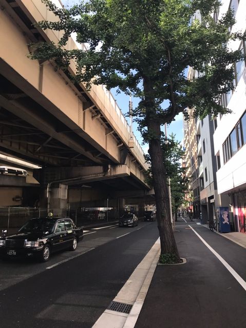 クリスタル豊崎_190522_0001.jpg