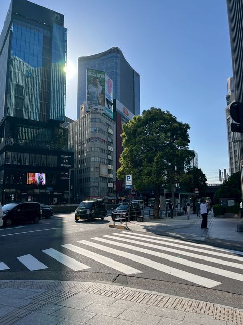 東京高速道路北数寄屋橋4.jpg